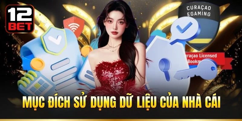Mục đích sử dụng dữ liệu của nhà cái
