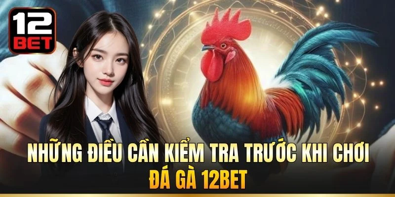 Những điều cần kiểm tra trước khi chơi đá gà 12BET