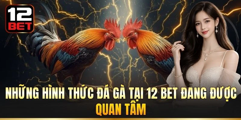 Những hình thức đá gà tại 12 BET đang được quan tâm