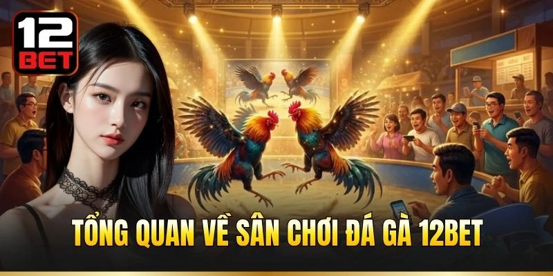 Tổng quan về sân chơi đá gà 12BET