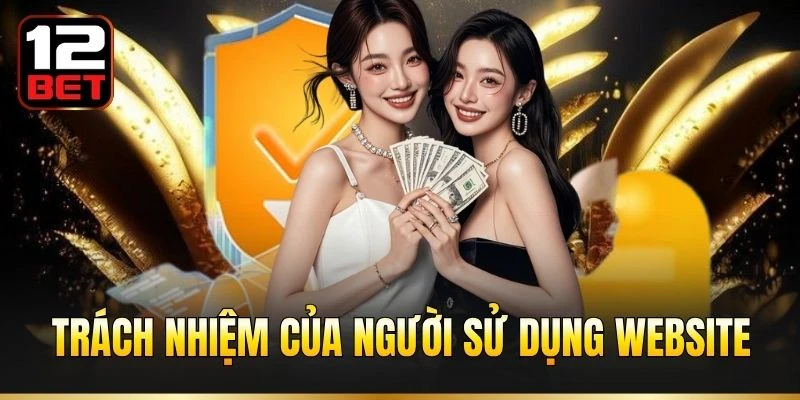 Trách nhiệm của người sử dụng website